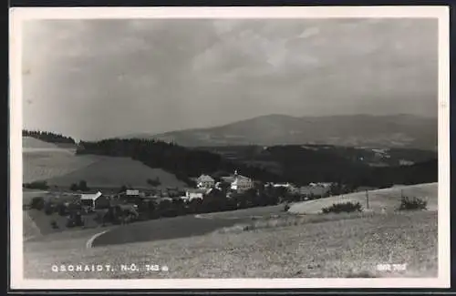 AK Gschaidt /N.-Ö., Ortsansicht mit Blick ins Land