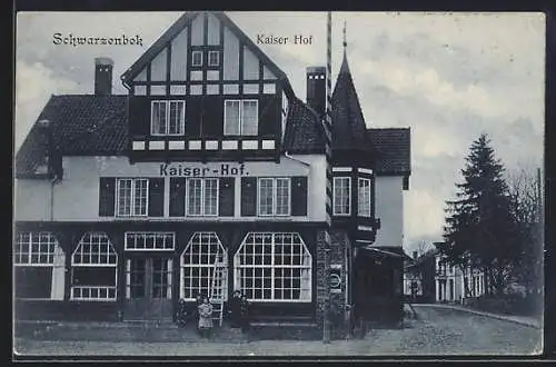 AK Schwarzenbek, Hotel Kaiserhof mit Strasse