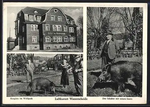 AK Würgendorf, Hotel-Restaurant Zur Wasserscheide, Kurgäste im Wildpark