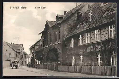 AK Schladen /Harz, Partie in der Damm-Strasse