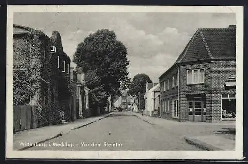 AK Wittenburg i. Mecklbg., Strasse vor dem Steintor