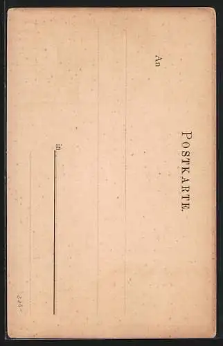 AK Schildau, Panorama der Ortschaft im Rahmen