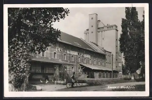 AK Lassee im Marchfelde, Mühkenwerk, Mann mit Fahrrad