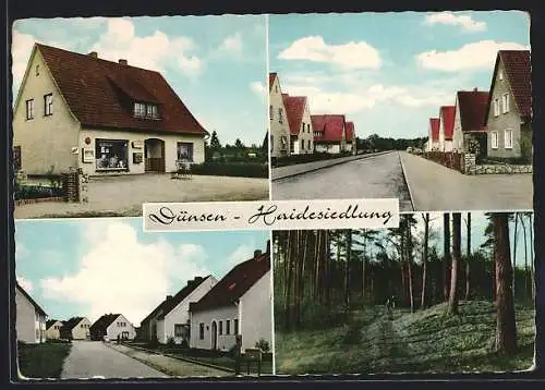 AK Dünsen / Harpstedt, Heidesiedlung, Geschäft, Strassenpartie, Waldpartie