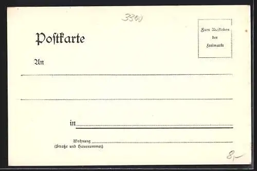 AK Braunschweig, Interimstheater mit Anlage und Denkmal aus der Vogelschau