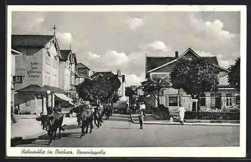 AK Hahnenklee /Harz, Strassenpartie mit Hotel zum goldenen Löwen und Damenkapelle