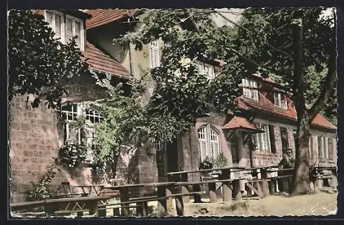 AK Wachenheim / Pfalz, Gasthof Forsthaus Rotsteig K. Reckert