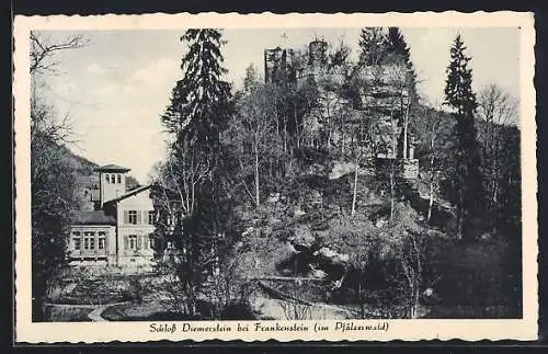 AK Frankenstein / Pfalz, Schloss Diemersheim mit Anlagen und Turmhaus