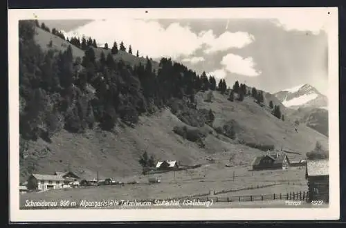 AK Uttendorf, Schneiderau im Stubachtal, Alpengaststätte Tatzelwurm