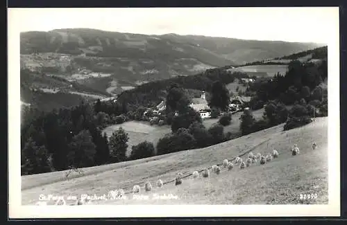 AK St. Peter am Wechsel, Ortsansicht mit Umgebung zur Zeit der Heumaht