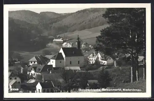 AK Raisenmarkt /Niederdonau, Ortsansicht mit der Kirche