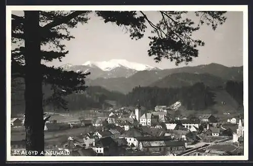 AK St. Aegyd a. Neuwald, Ortsansicht vom Berg aus