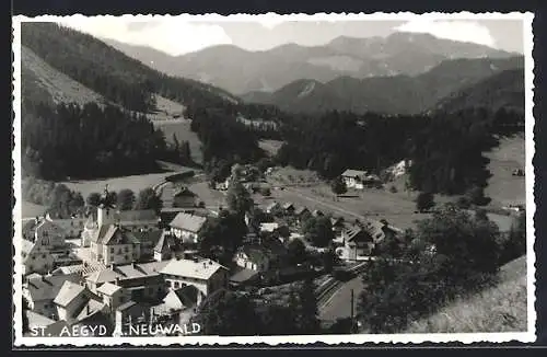 AK St. Aegyd a. Neuwald, Teilansicht vom Berg aus