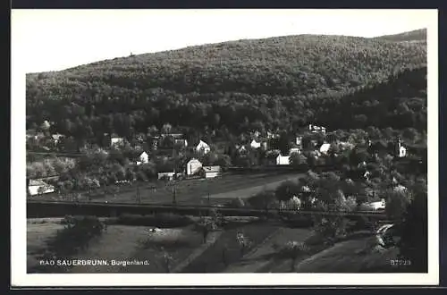 AK Bad Sauerbrunn /Burgenland, Totalansicht am Berg