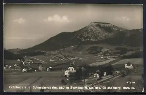 AK Grünbach a. d. Schneebergbahn, Panorama mit Bahnhof