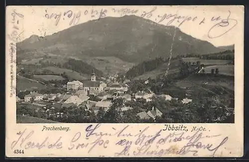 AK Ybbsitz /N.-Oe., Ortsansicht mit Prochenberg