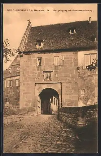 AK Neustadt /Odenwald, Burg Breuberg, Burgeingang mit Forstwartwohnung