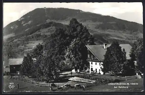 AK Elsbethen, Bauer mit Kühen neben dem Gasthaus