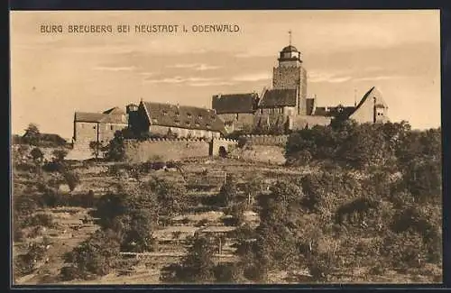 AK Neustadt / Odenwald, Burg Breuberg