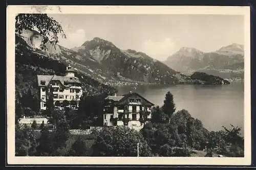 AK Weggis /Vierwaldst. See, Hotel Alpenblick mit Alpen