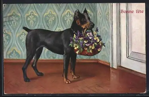 AK Dobermann mit Blumenkorb, Pinscher