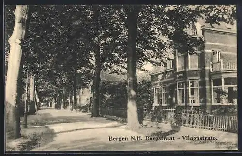 AK Bergen /N.H., Dorpstraat, Vilagostrato