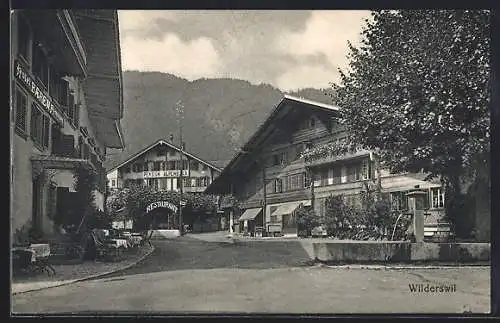 AK Wilderswil, Hotel-Pension Baeren, Pension Alpenblick