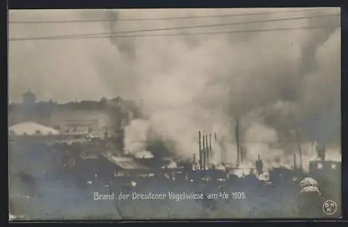 Foto-AK Brand der Dresdener Vogelwiese am 2. August 1909