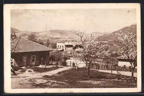 AK Zvecan, Ortspartie im Frühling, Blick in die Landschaft