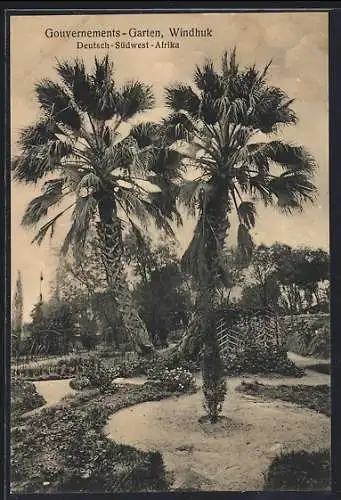 AK Windhuk /Deutsch-Südwest-Afrika, Gouvernements-Garten mit Palmen