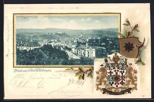 Passepartout-Lithographie Bad Wildungen, Panorama, Wappen, goldene Löwen