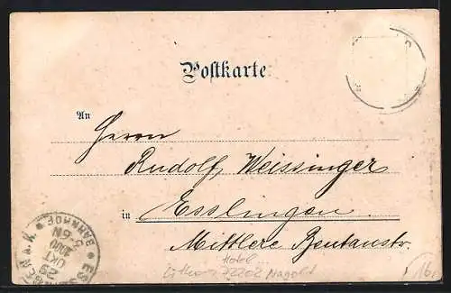 Lithographie Nagold, Hotel Waldeck, Ortsansicht