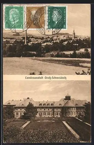 AK Gross-Schweidnitz, Landesanstalt, Ortspartie