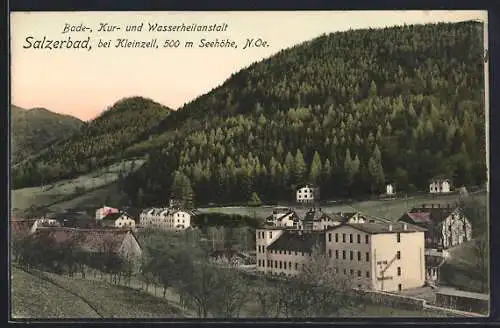 AK Kleinzell /N. Oe., Ortsansicht mit Bade-, Kur- und Wasserheilanstalt Salzerbad