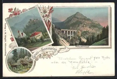 AK Semmering, Blick auf die Weinzöttlwand, Ortsansicht mit der Ruine Klamm