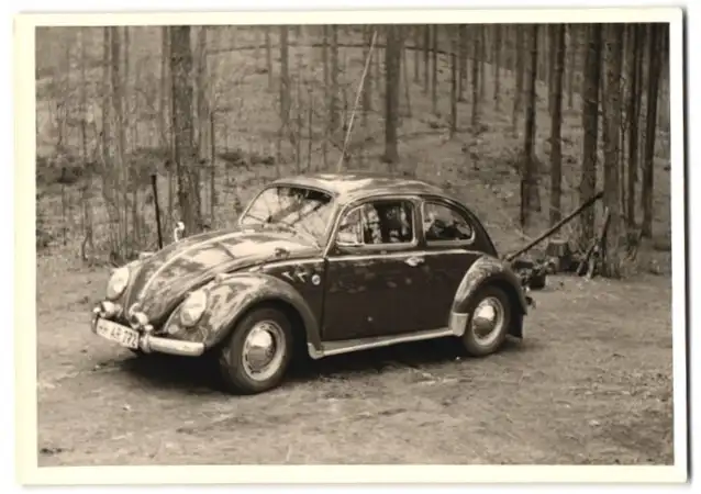 Fotografie VW-Käfer mit Kennzeichen: HH-AR 772 im Wald 0