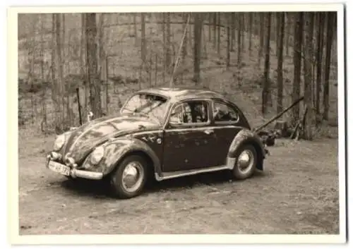 Fotografie VW-Käfer mit Kennzeichen: HH-AR 772 im Wald