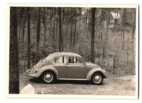 Fotografie VW-Käfer in der Seitenansicht im Wald