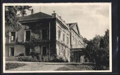 AK Neustift bei Scheibbs, Wiener Jugendhilfswerk, Kindererholungsheim Lehenhof