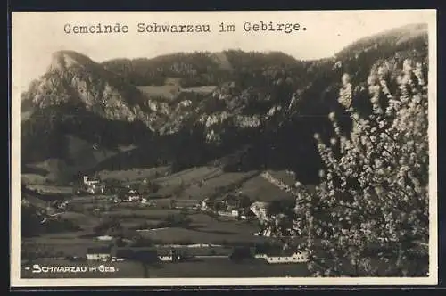 AK Schwarzau im Gebirge, Panorama