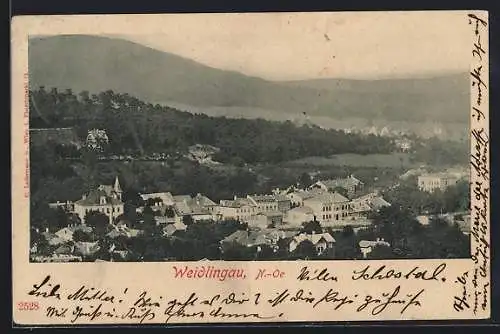 AK Weidlingau, Panorama