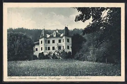 AK Liezen /Obersteiermark, Schloss Grafenegg / Sofien-Kinderheim