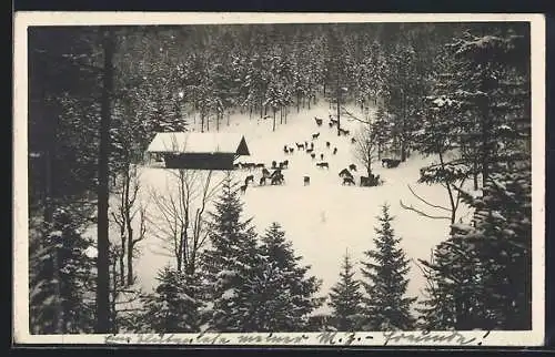 AK Mariazell, Walster, Hirschfütterung im Schnee