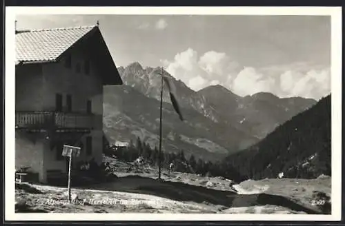 AK Neustift /Stubai, Alpengasthof Herzeben im Pinnistal