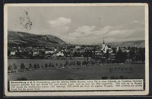 AK Hammelburg a. d. S., Ortsansicht mit Landstrasse und Bergpanorama