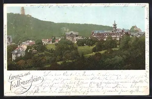 AK Falkenstein / Taunus, Totalansicht mit Ruine