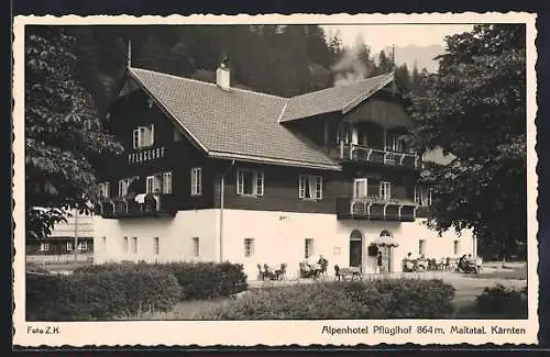 AK Maltatal, Alpenhotel Pflüglhof
