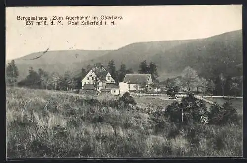 AK Zellerfeld / Oberharz, Berggasthaus Zum Auerhahn