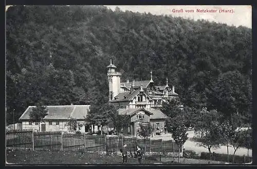 AK Ilfeld i. Harz, Gasthaus und Hotel Netzkater