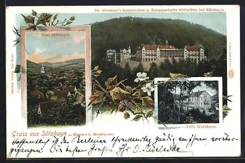 AK Sülzhayn a. Südharz, Dr. Kremser`s Sanatorium und Knappschafts-Heilstätte, Villa Waldhaus, Dorfansicht